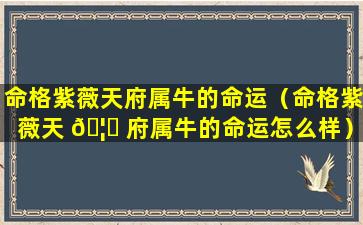 命格紫薇天府属牛的命运（命格紫薇天 🦈 府属牛的命运怎么样）